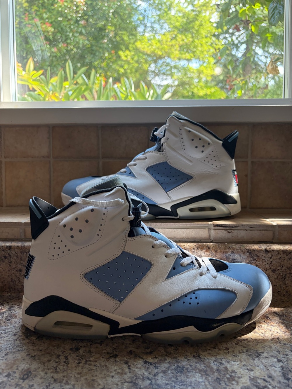Jordan 6 UNC
